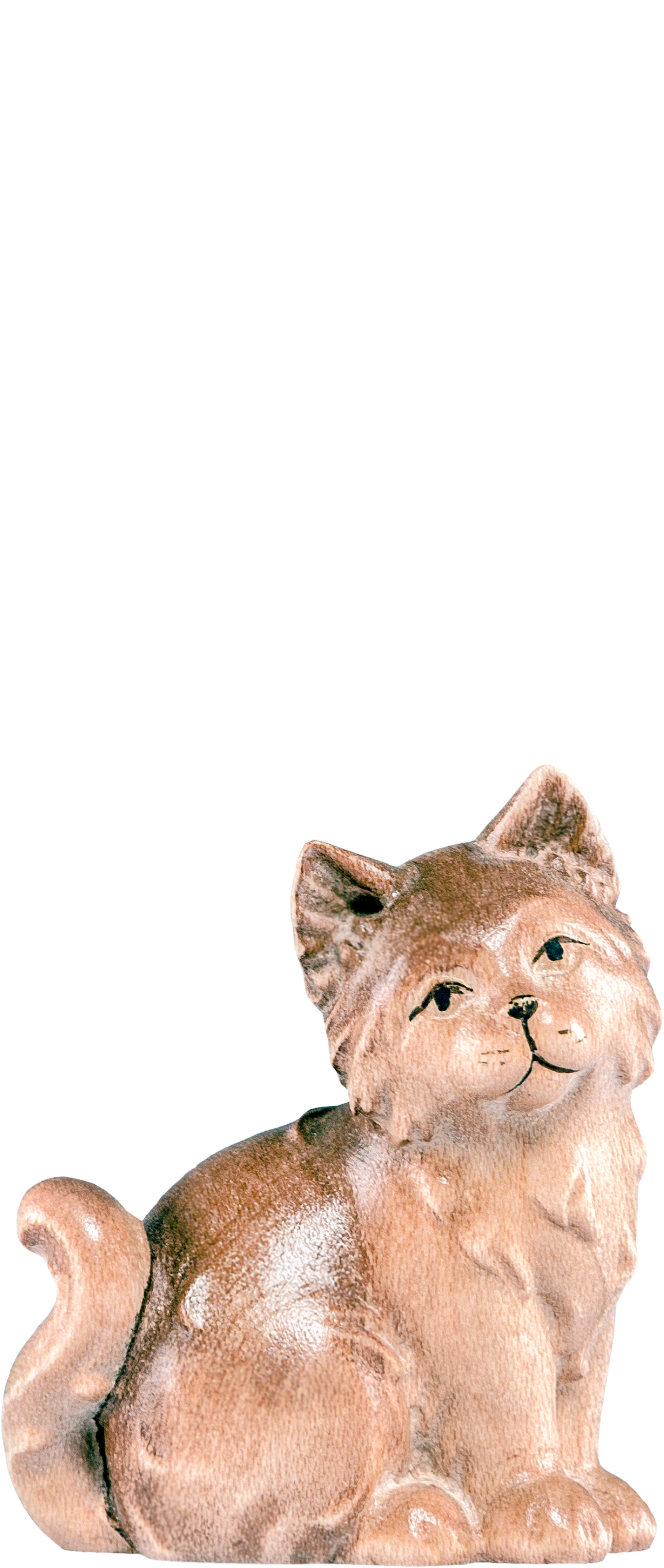 Katze Artis 