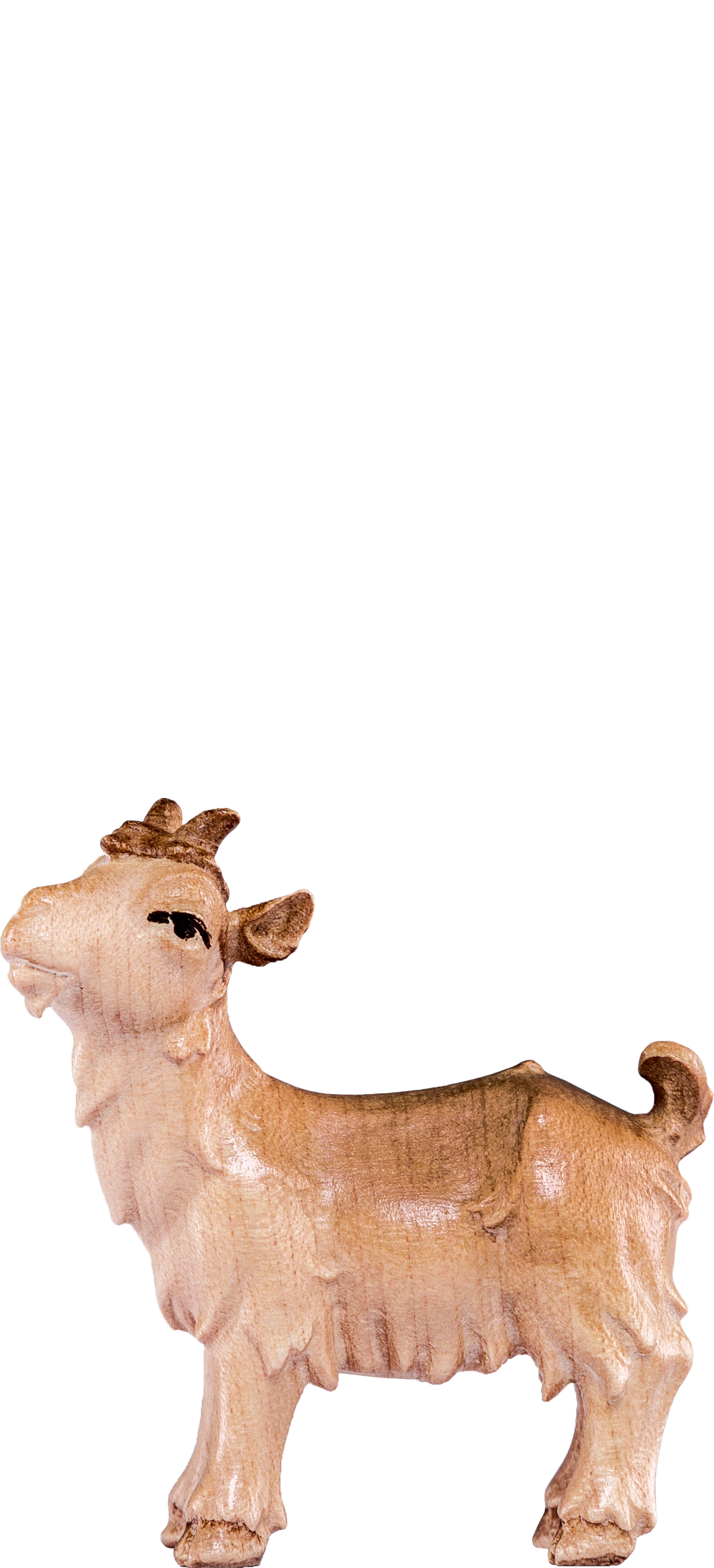 Kitz Artis