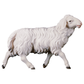 Ulrich Running sheep