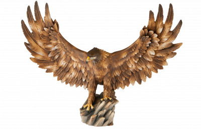 aquila reale ali aperte