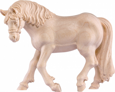 Cavallo Haflinger