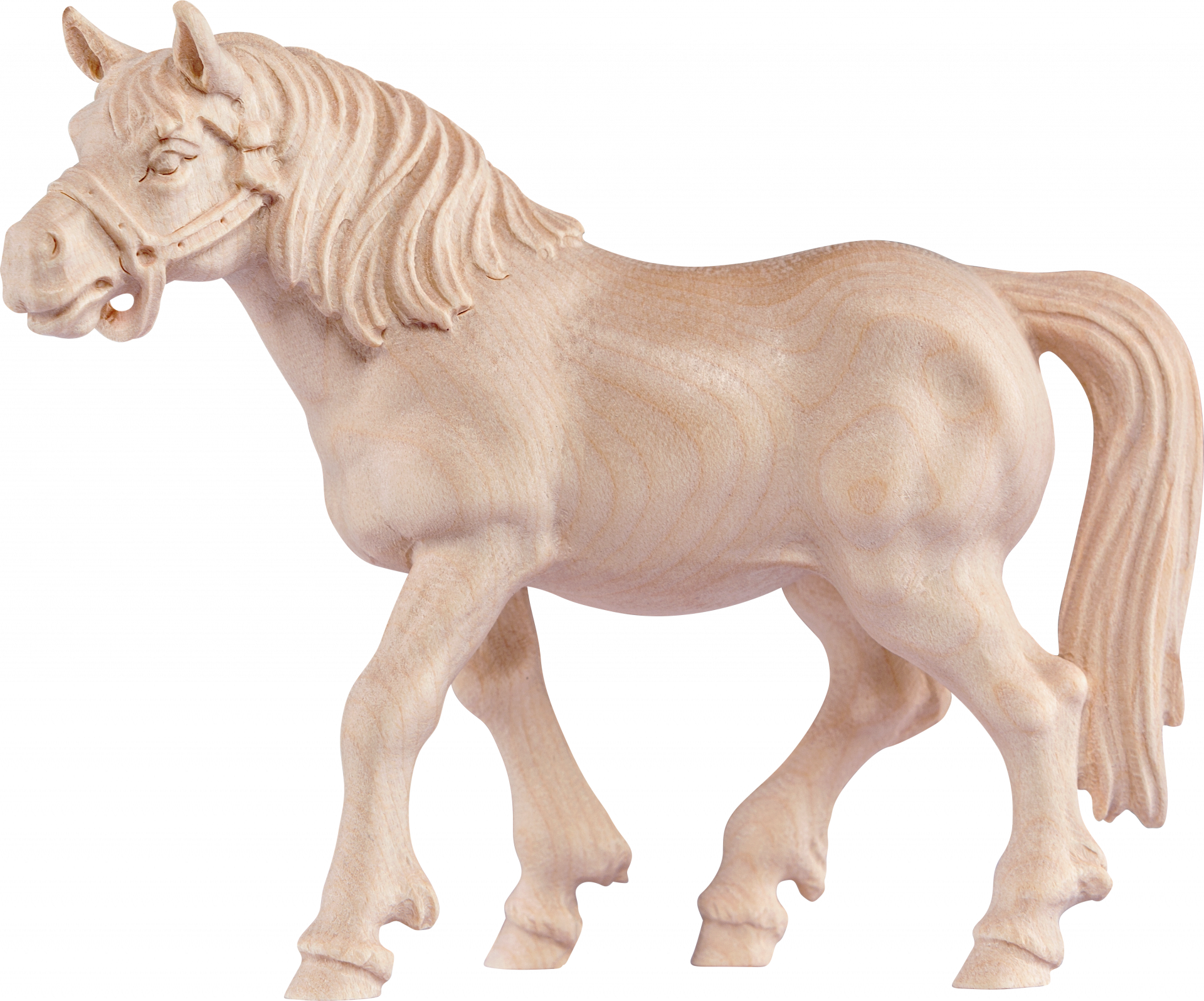 Pferd Rappe