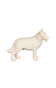 PE German shepherd