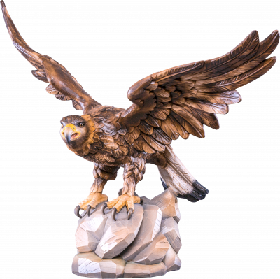 Adler mit offenen Flügeln