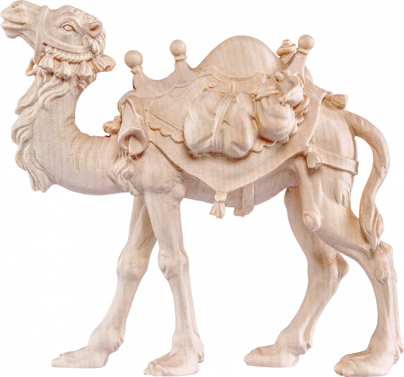 Cammello Presepe Heimat