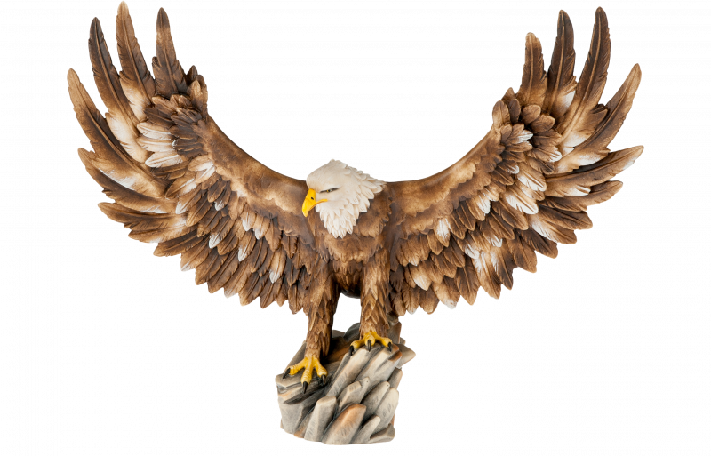 Weisskopfadler offene Flügel