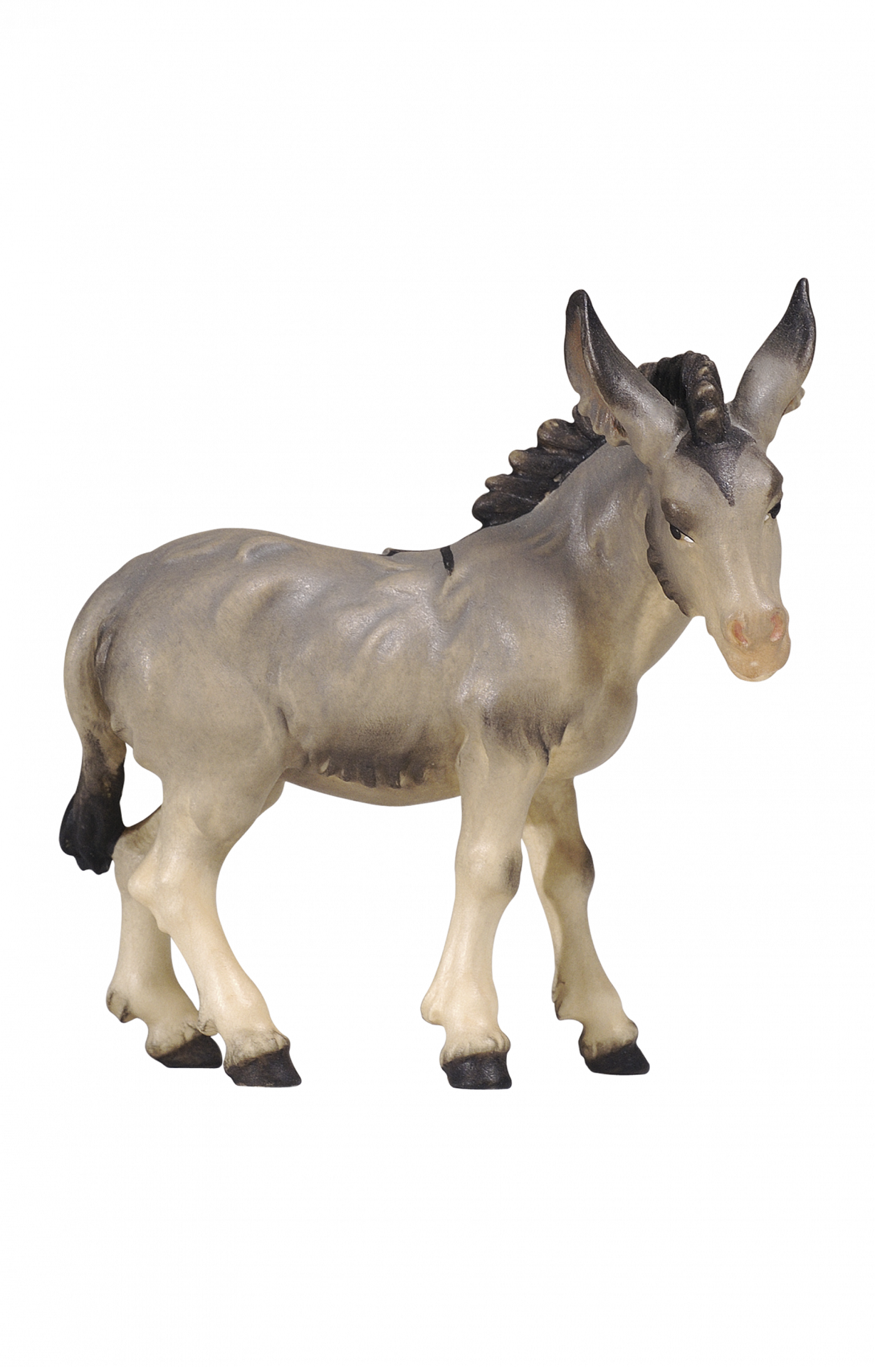 Kostner Donkey