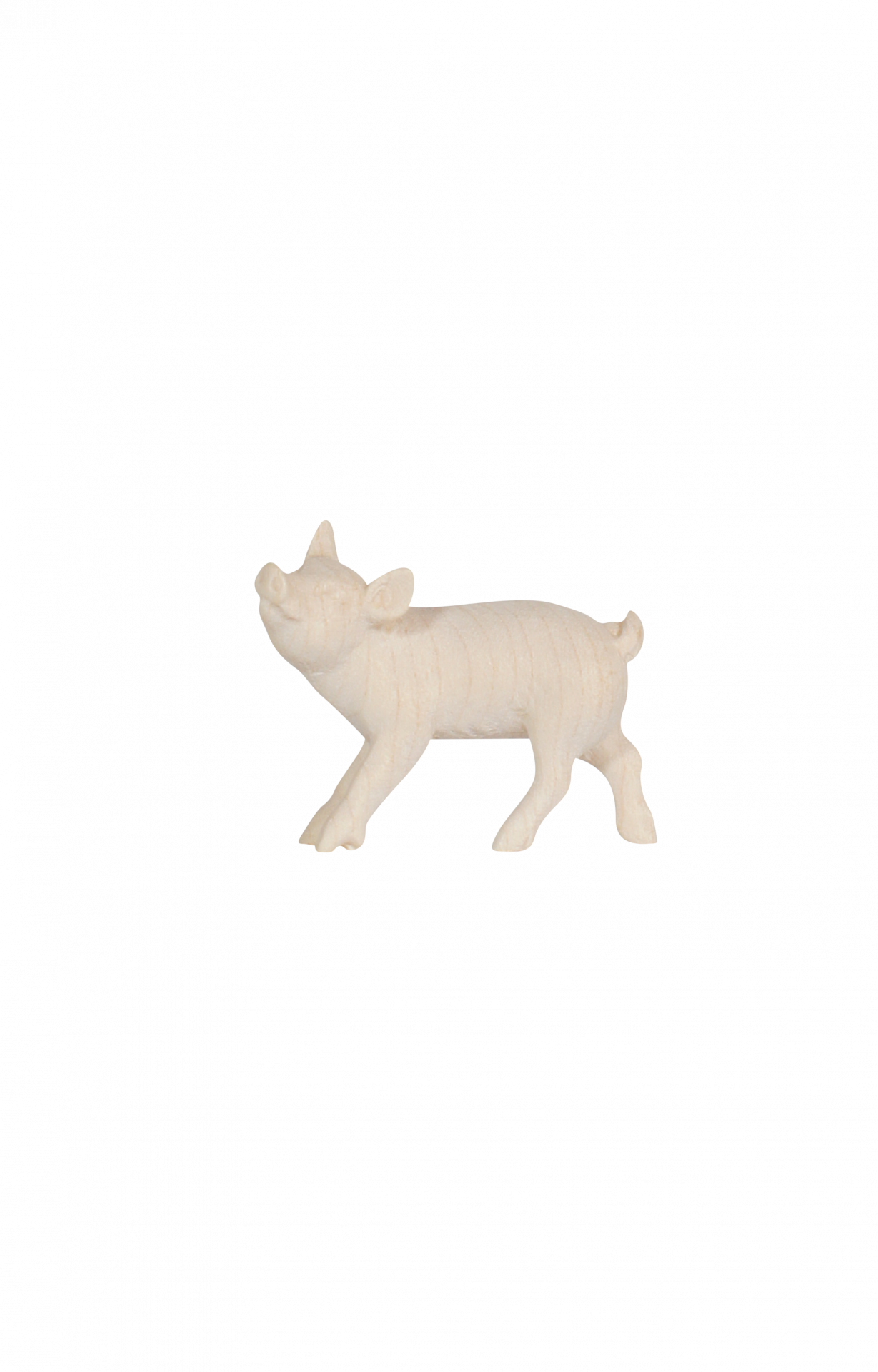 HE Piglet standing