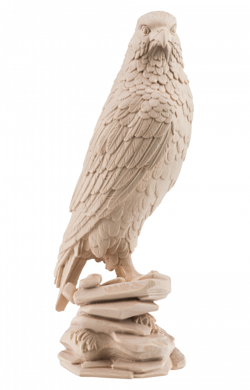 falco pellegrino