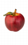 Apfel