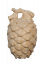 Zirbenzapfen