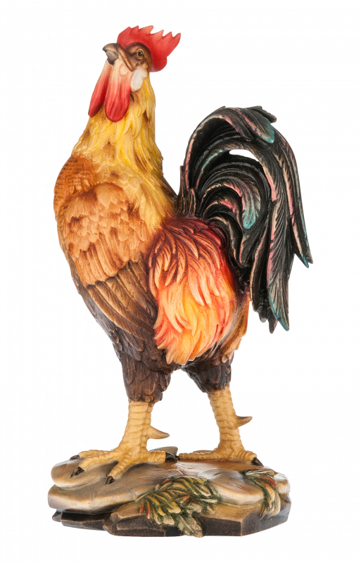 gallo