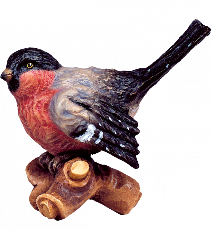 Uccellino rosso sul ramo