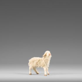 Heide Krippe Lamm links mit Wolle beige