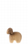 Schaf dunkel