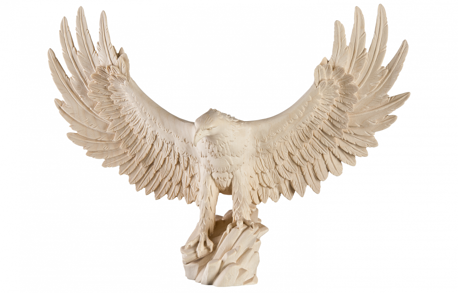 aquila reale ali aperte